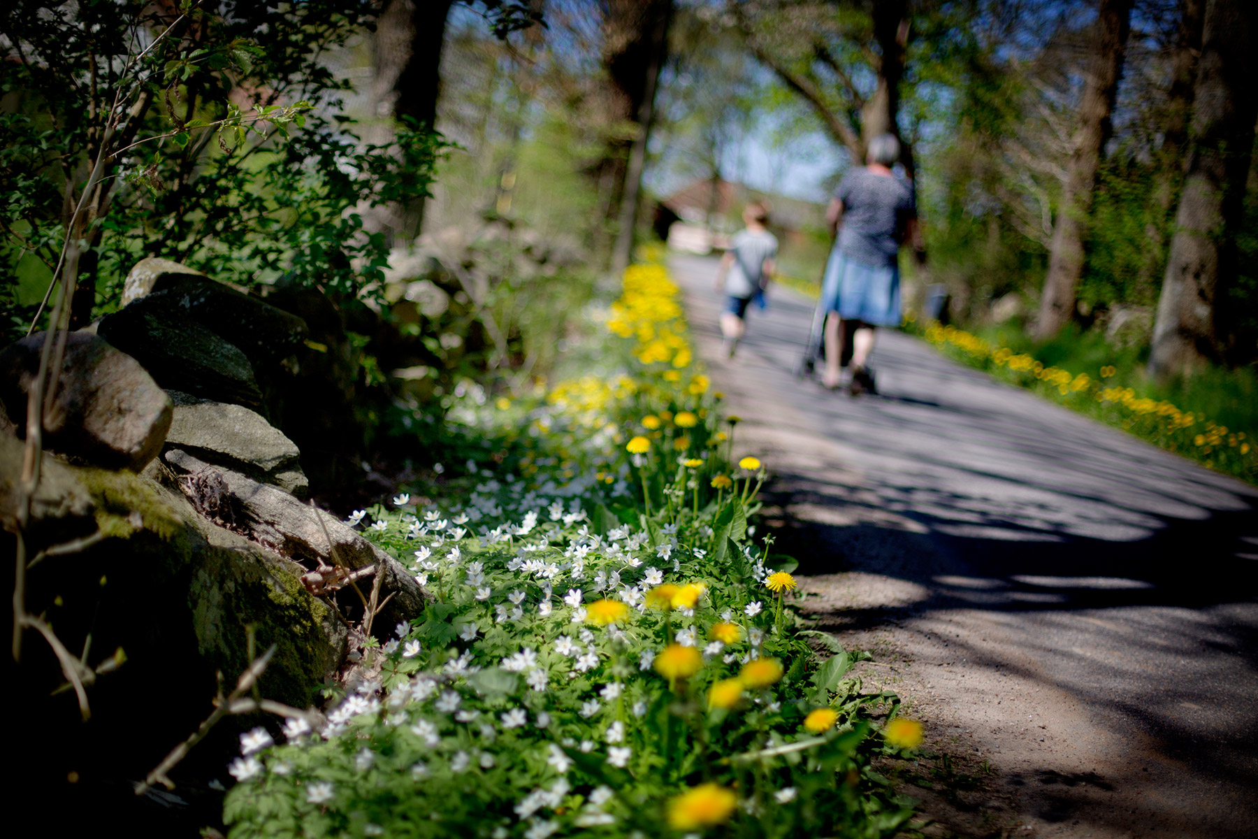 blogg-160508ambjorntorp9.jpg
