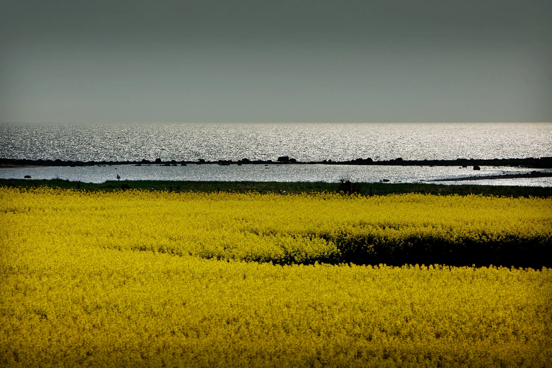 blogg-160513bjuvtur2.jpg