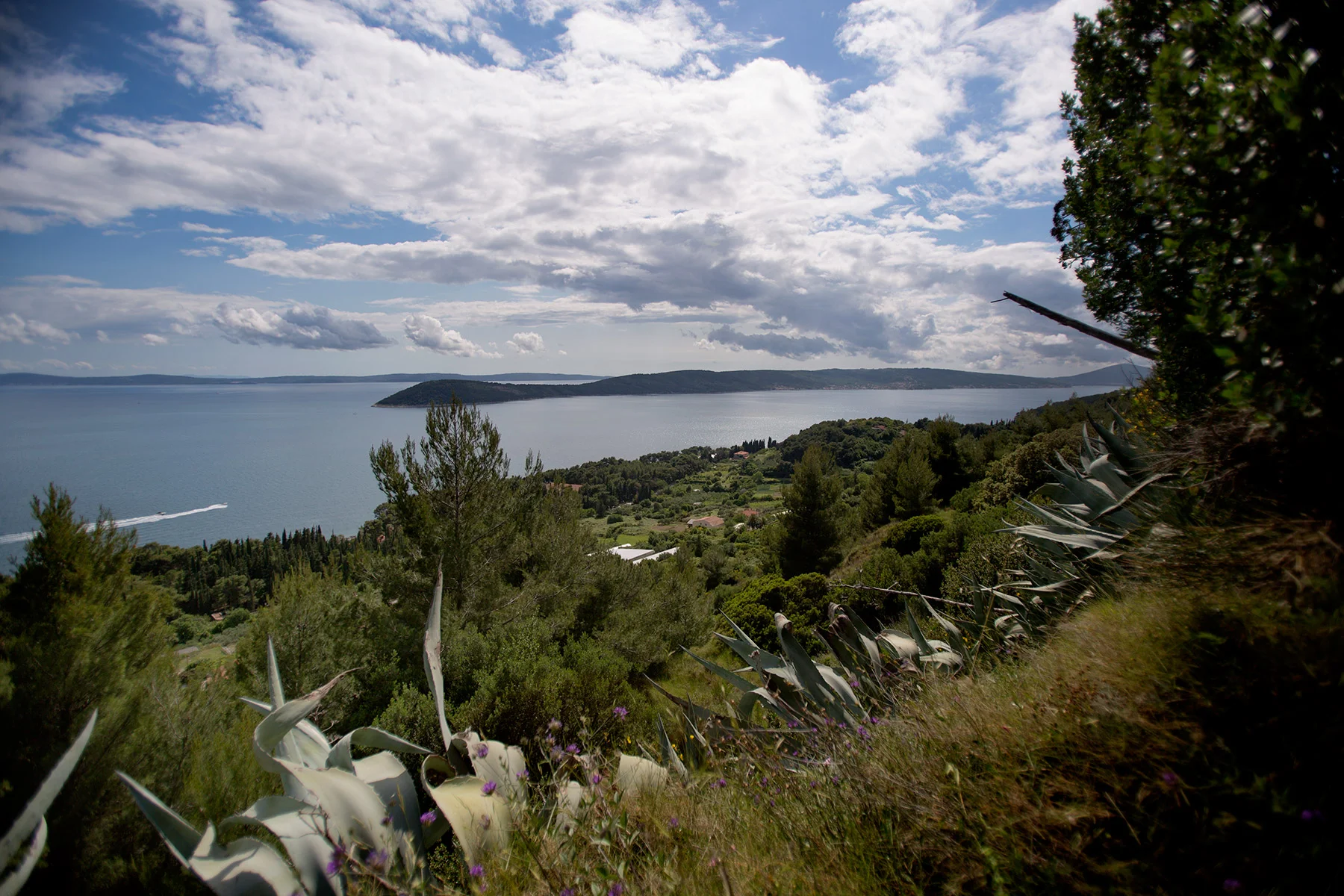 blogg-160524marjanberget18.jpg