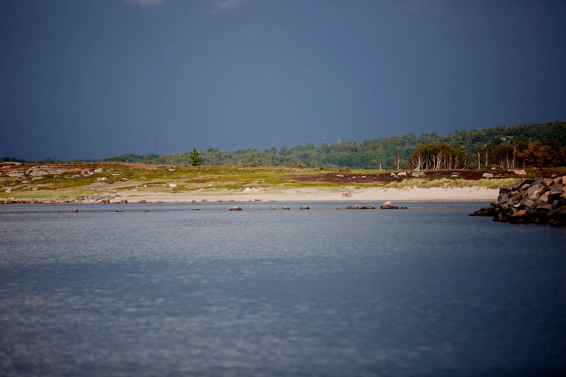 blogg-160615salsafari13.jpg