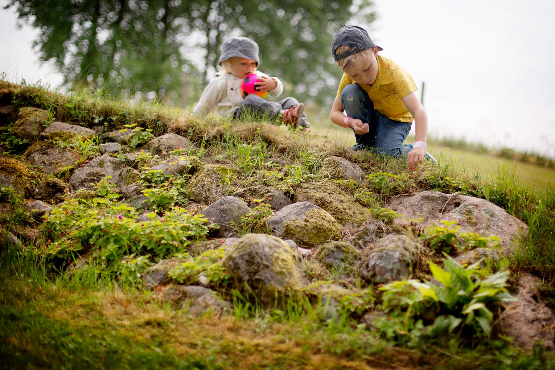 blogg-160620ullathord4.jpg