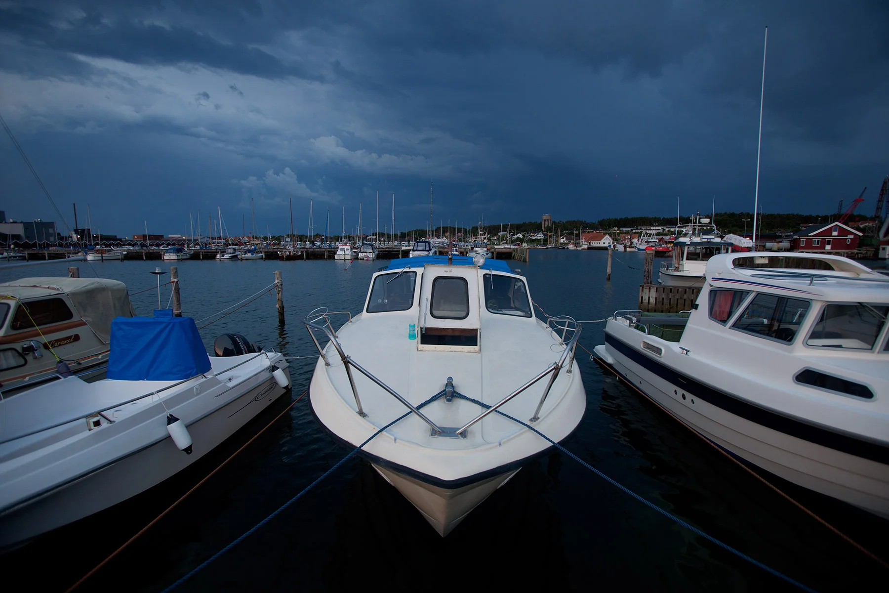 blogg-160625batenfarmorlisa5.jpg