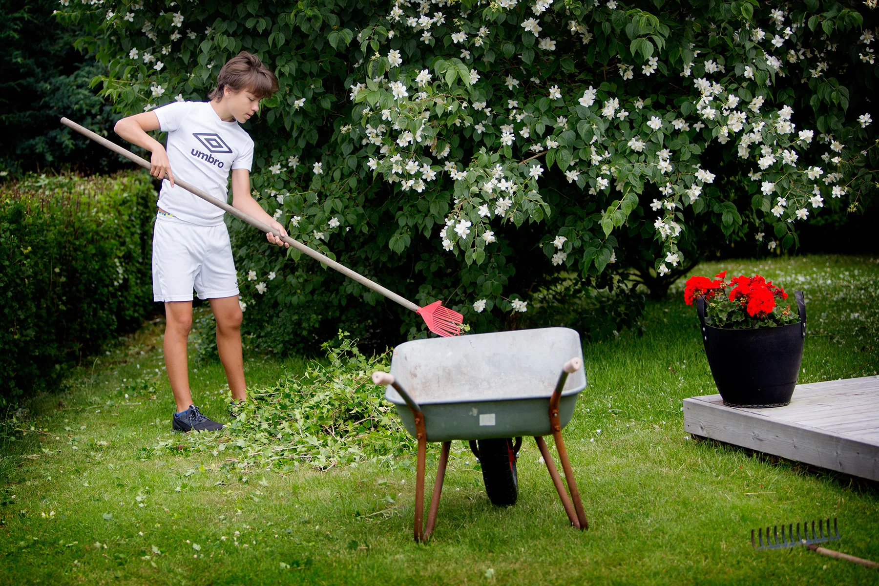 Tro och tvivel