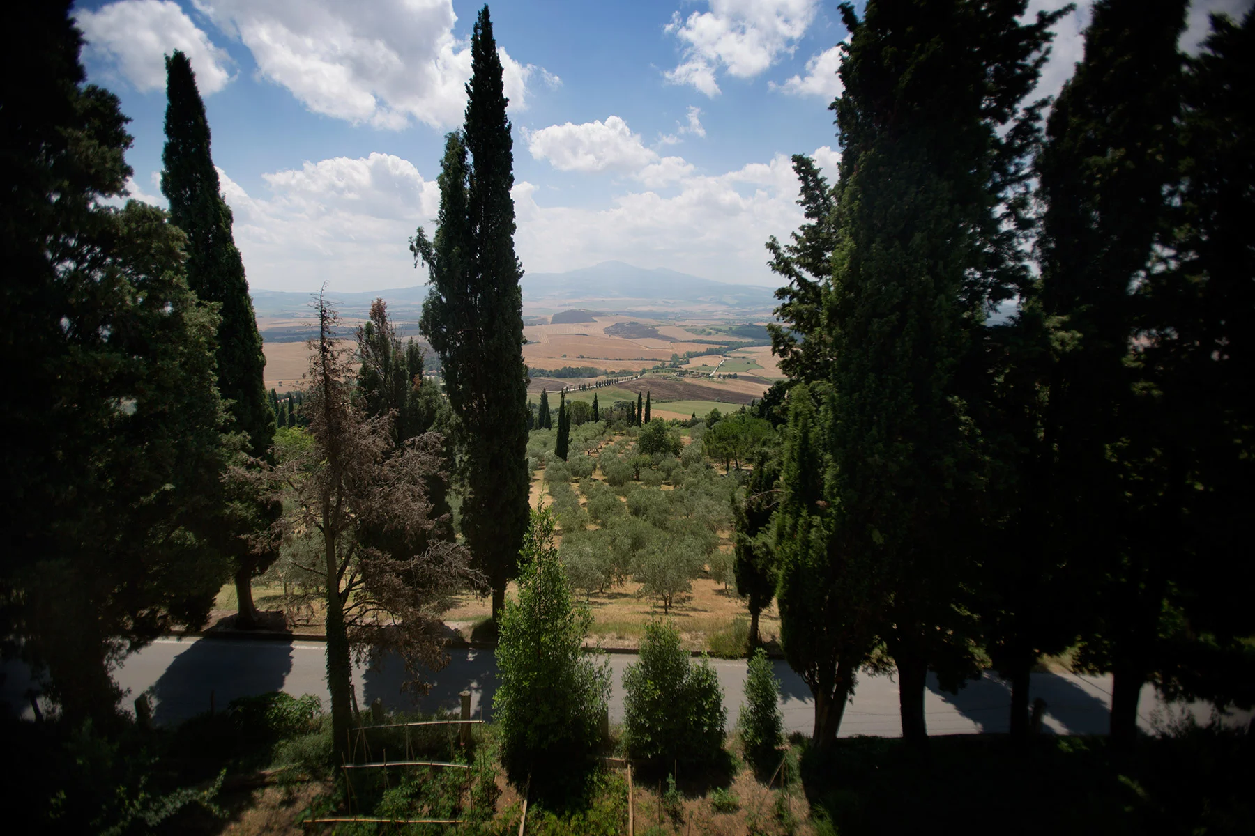 blogg-160704pienza22.jpg