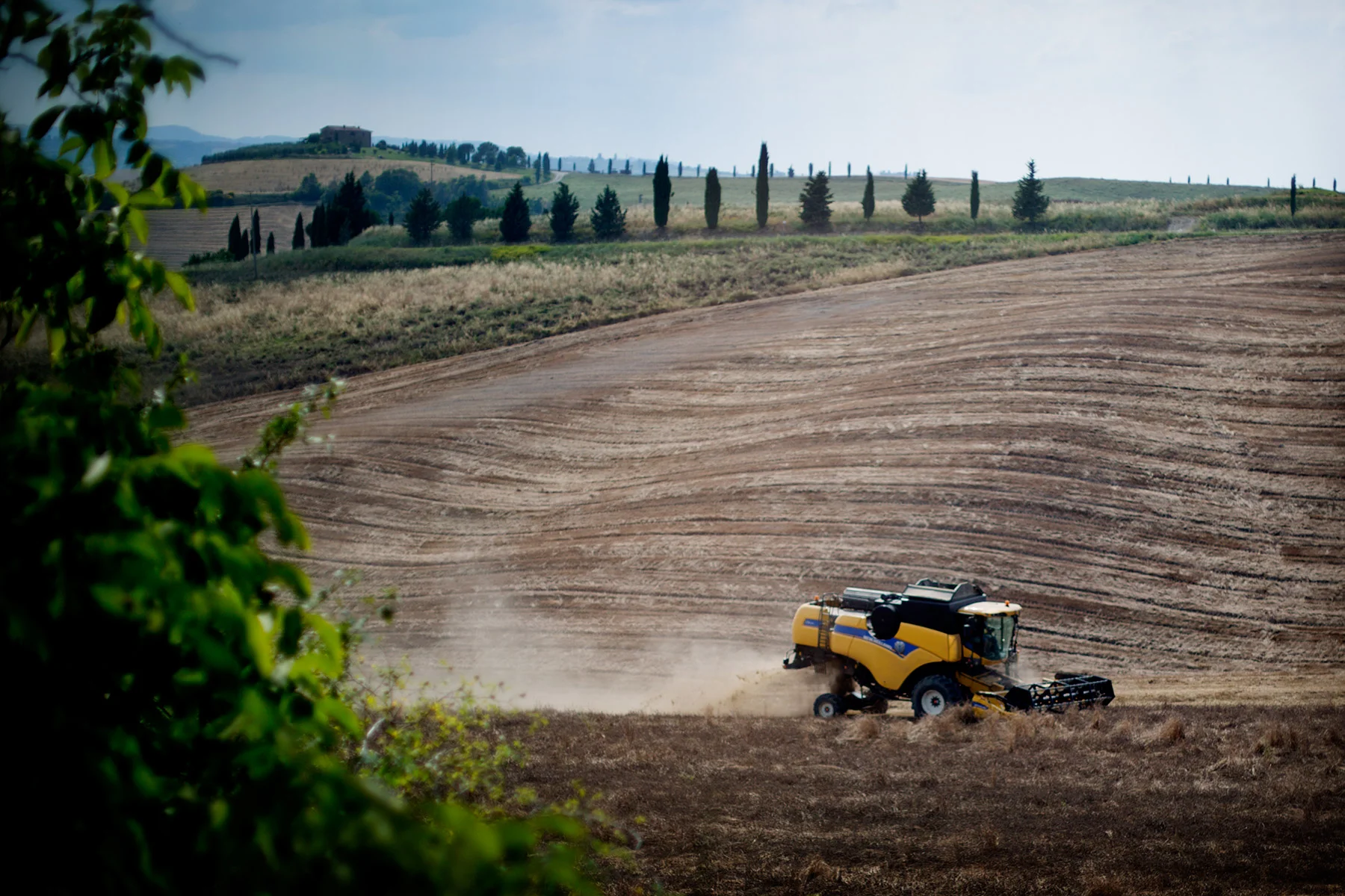 blogg-160704pienza25.jpg
