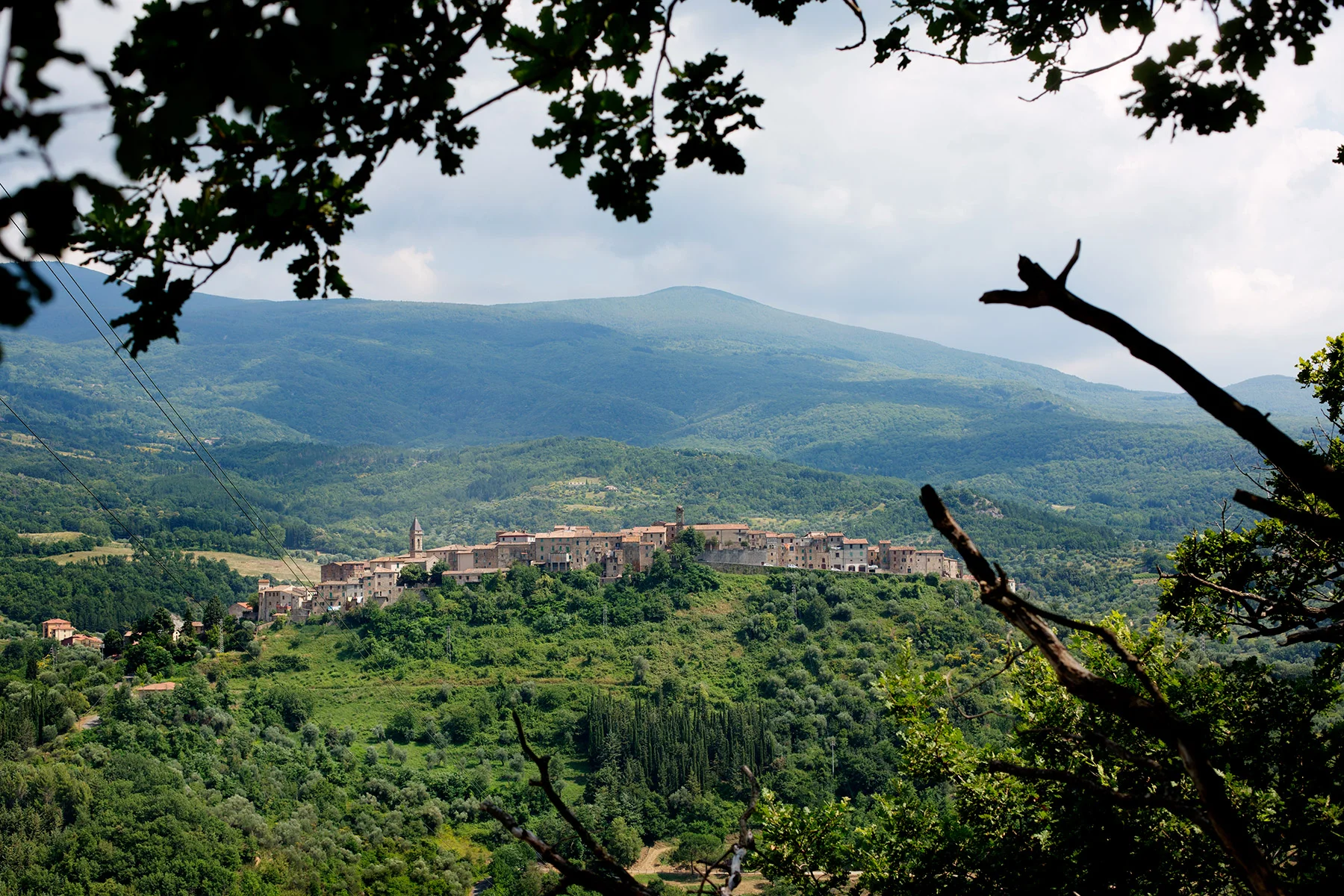 blogg-160705seggiano1.jpg
