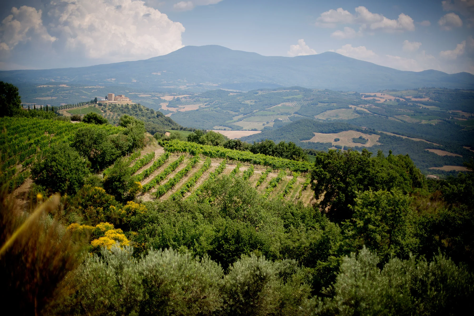 blogg-160706montalcino26.jpg