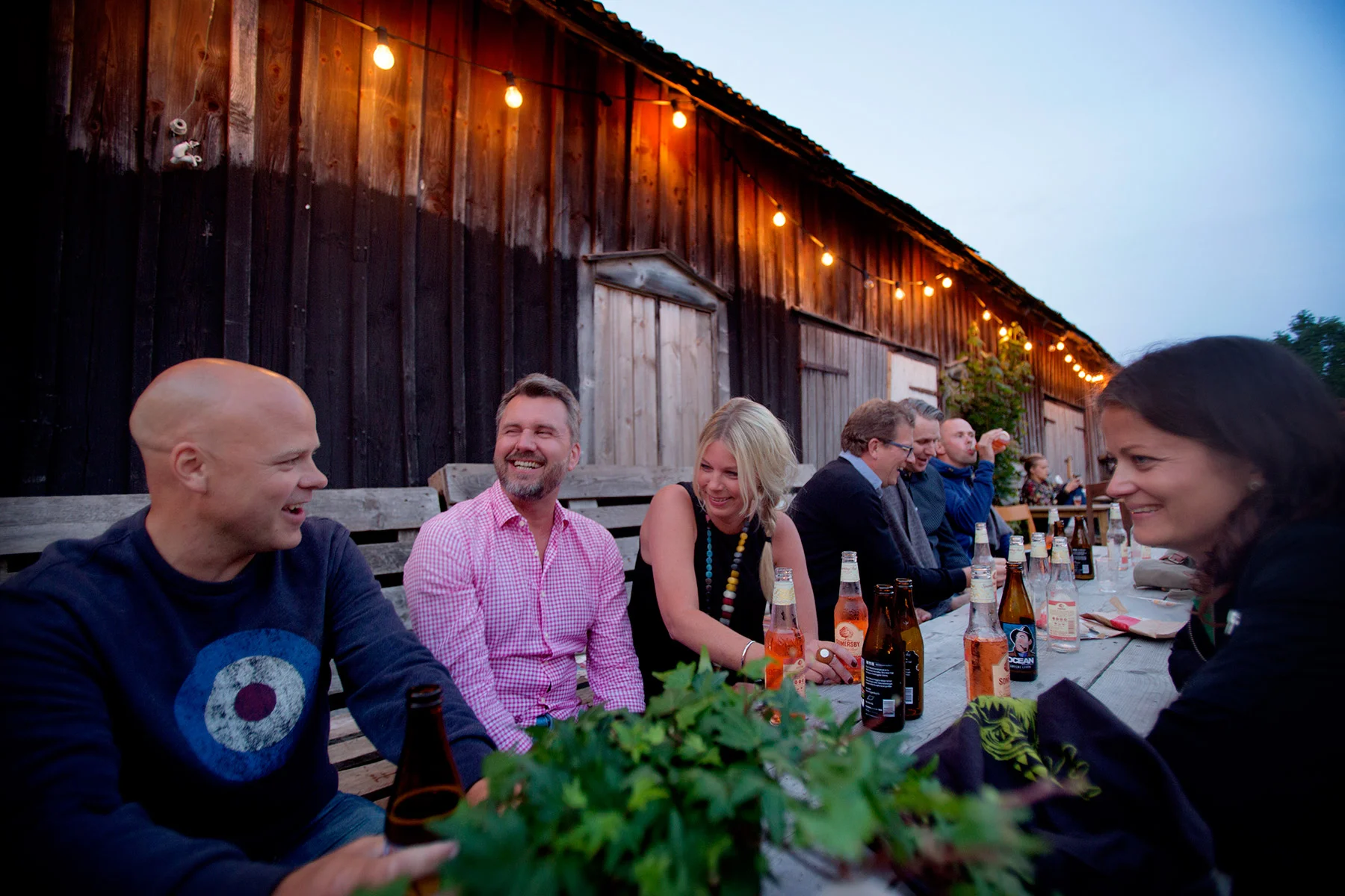 blogg-160714joelalme14.jpg