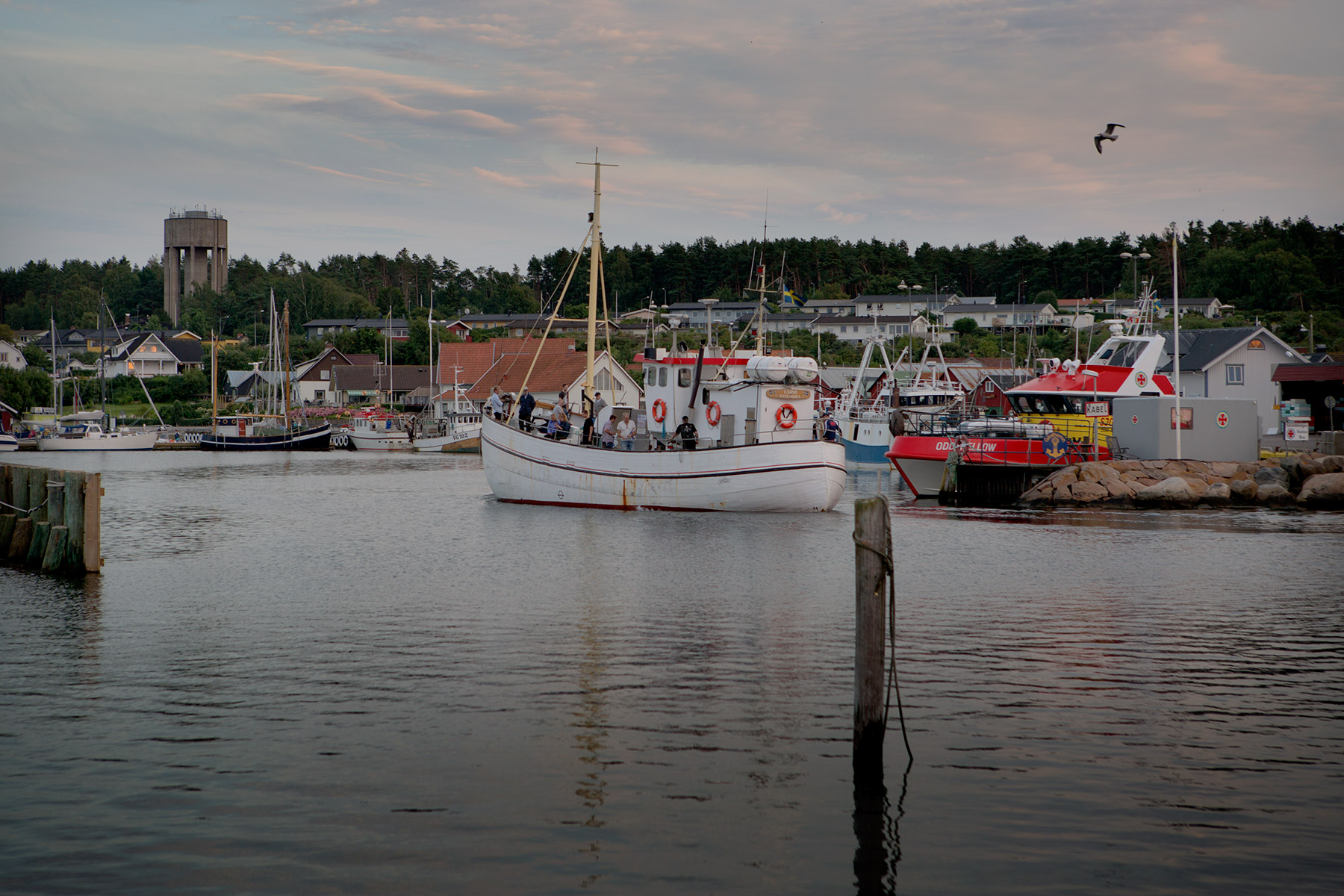 blogg-160723bryggsegling9.jpg