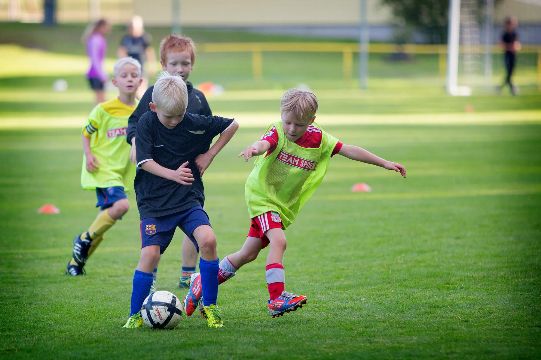 blogg-160810norvalla12.jpg
