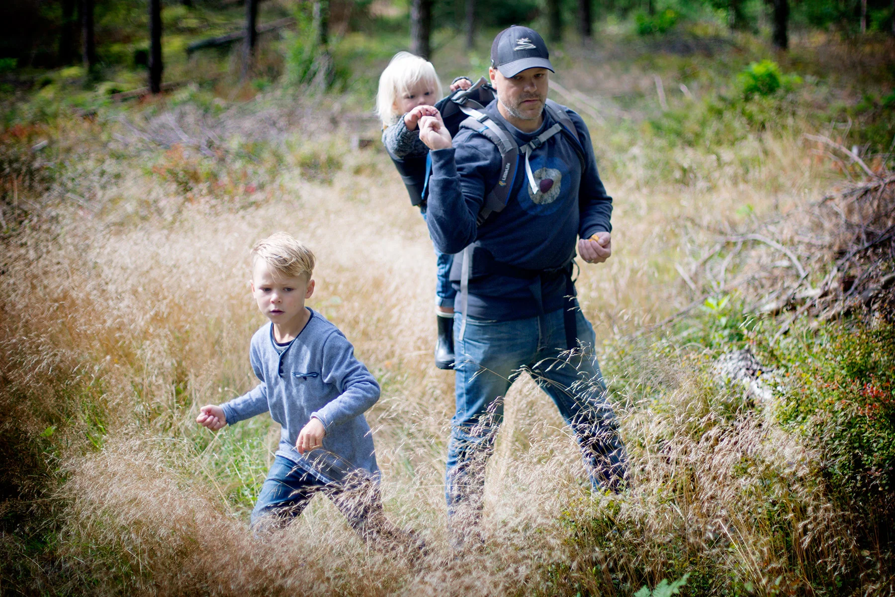 blogg-160814svamp3.jpg
