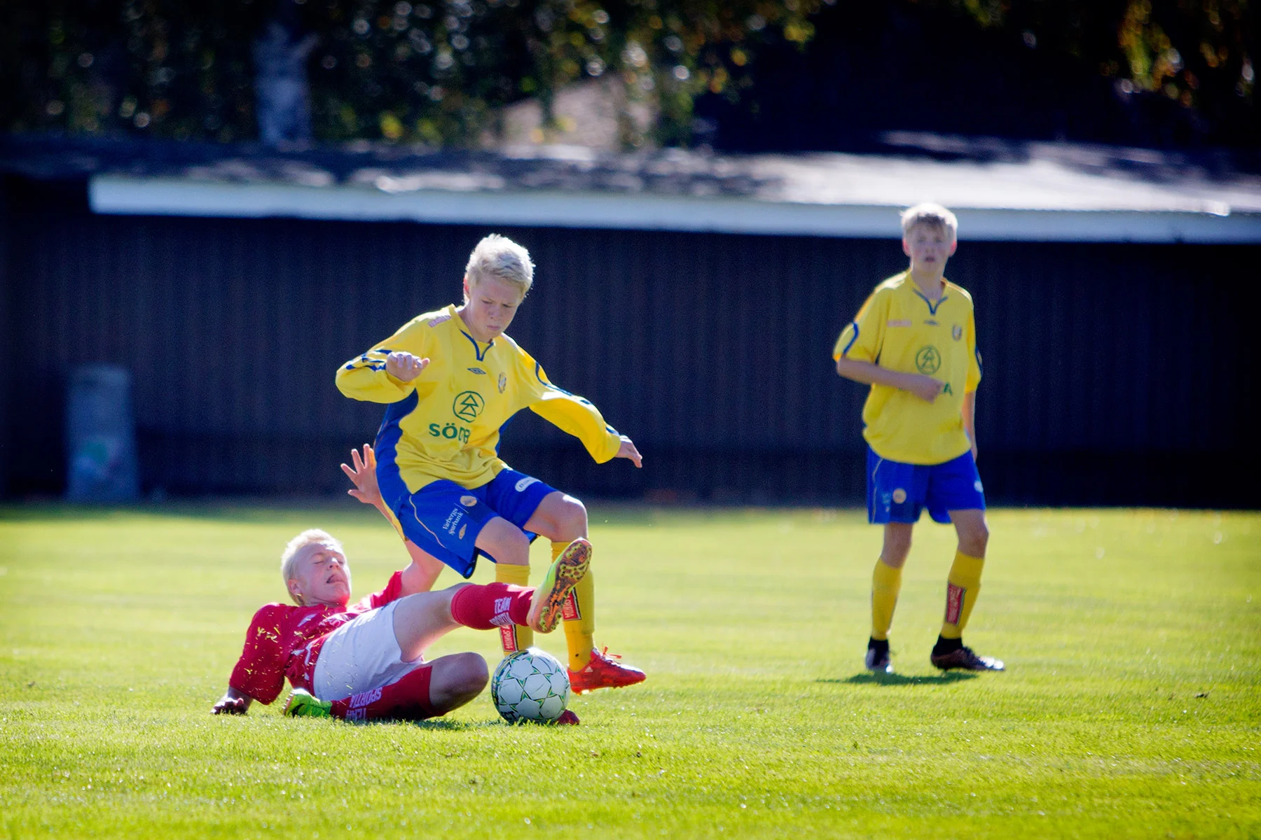 blogg-160917varofjaras4.jpg