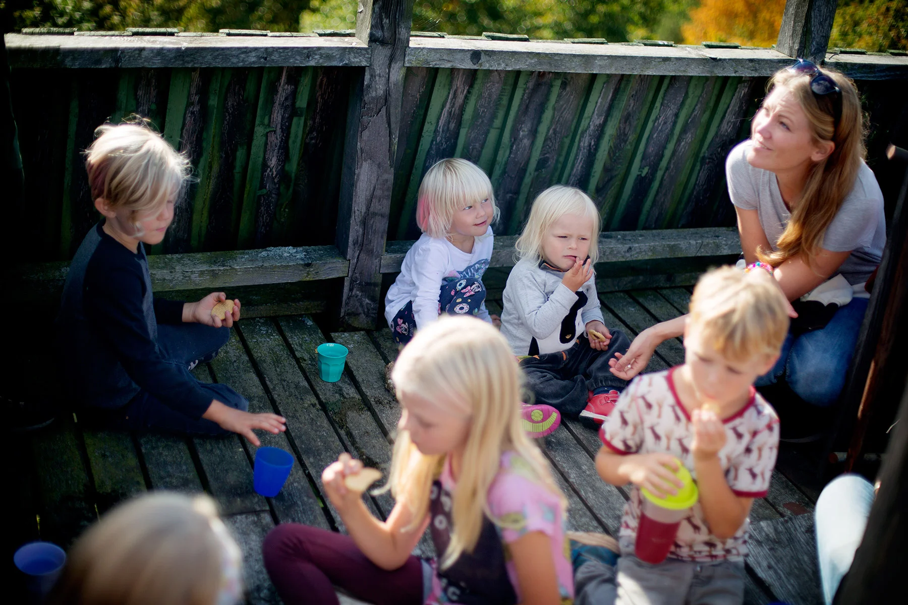 blogg-160917svamplisafredrik10.jpg