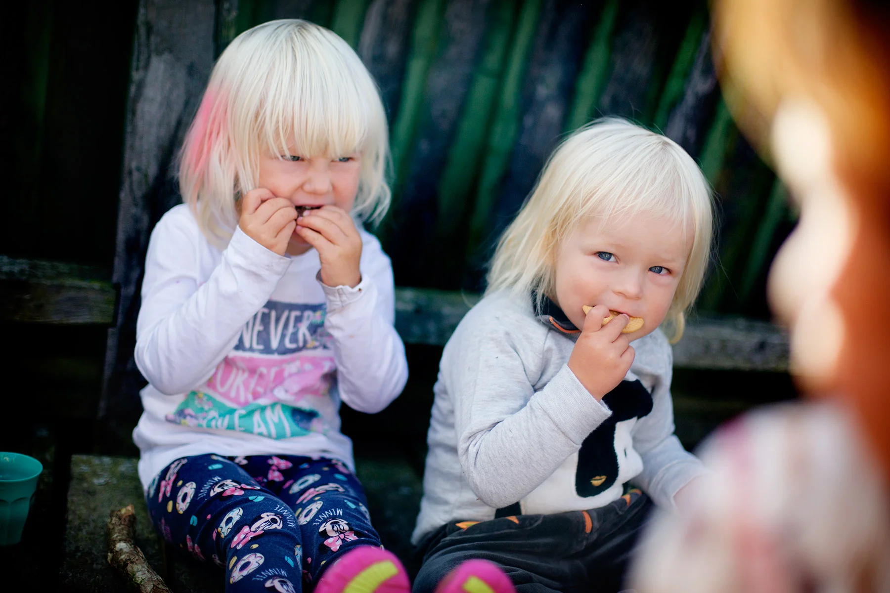 blogg-160917svamplisafredrik11.jpg