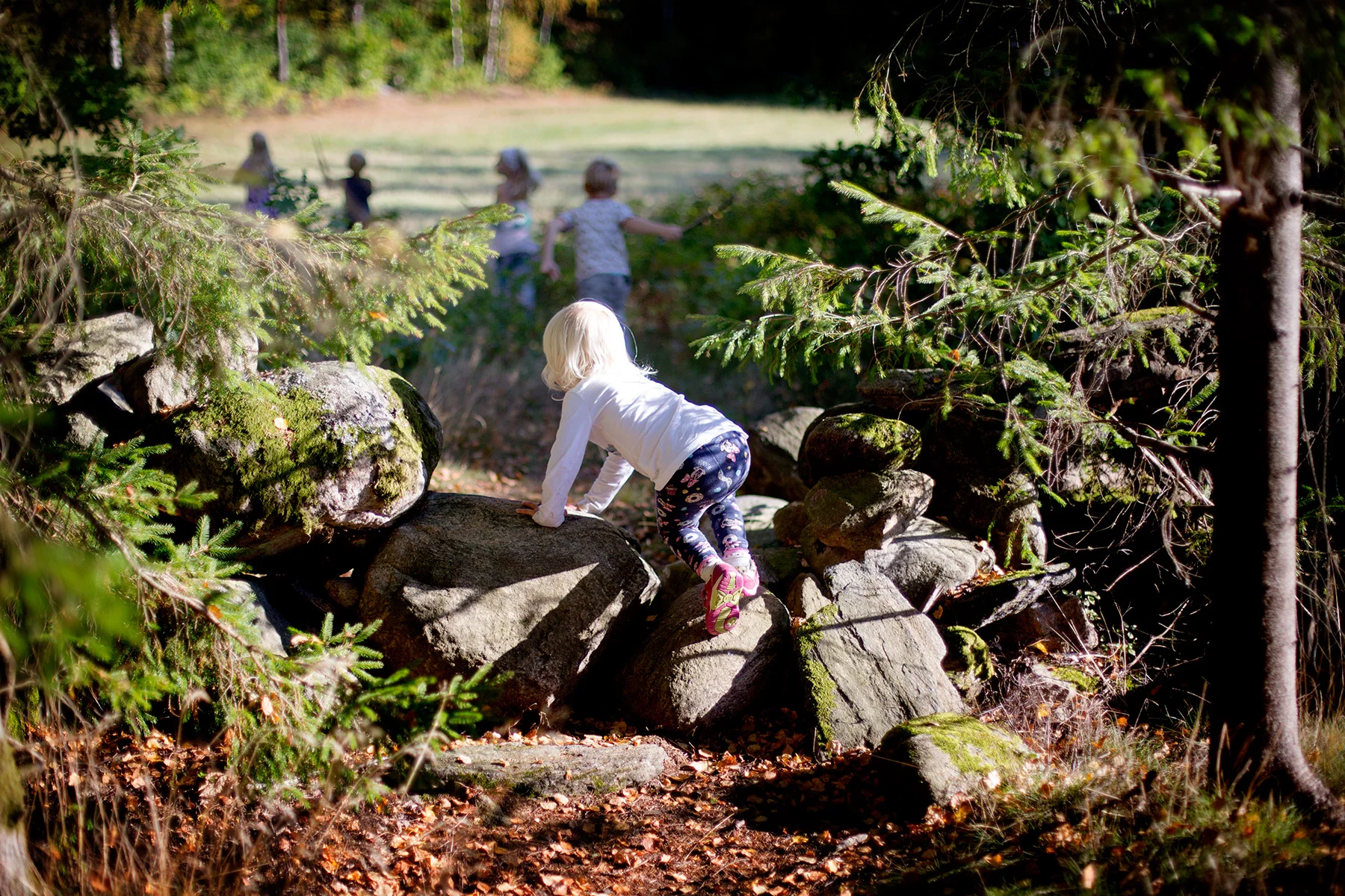 blogg-160917svamplisafredrik21.jpg