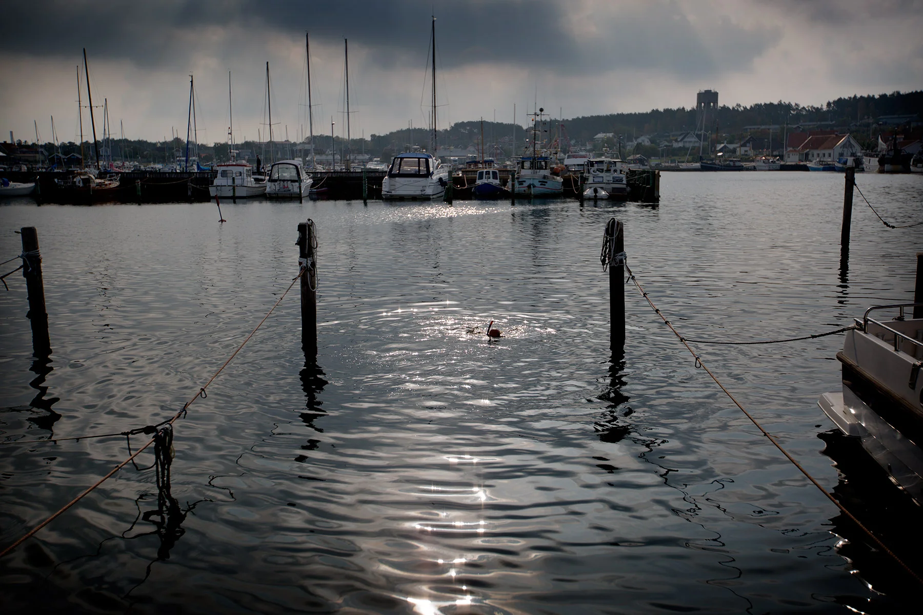 blogg-160923drevkapadyk2.jpg
