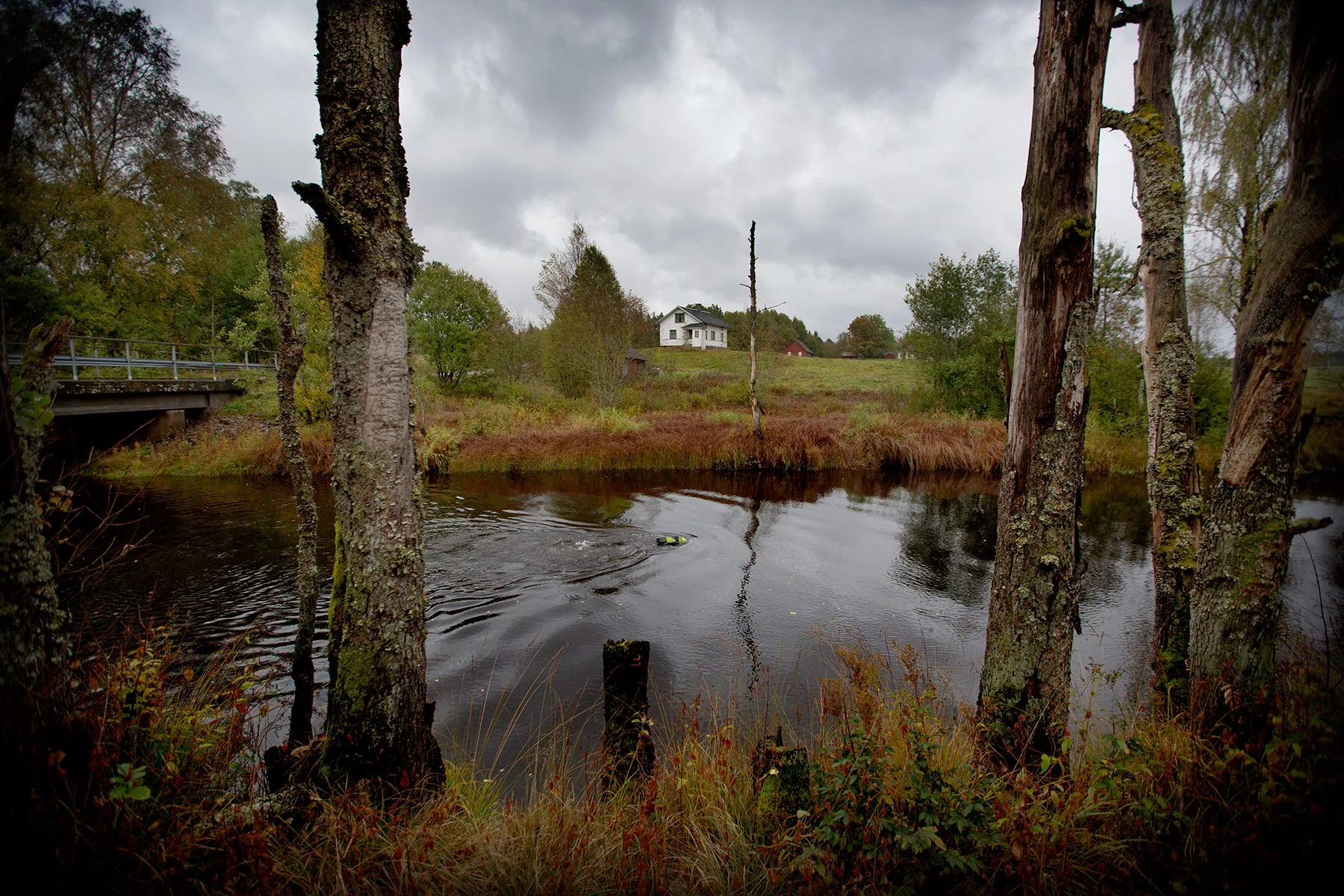 blogg-160929martindykerikalv2.jpg