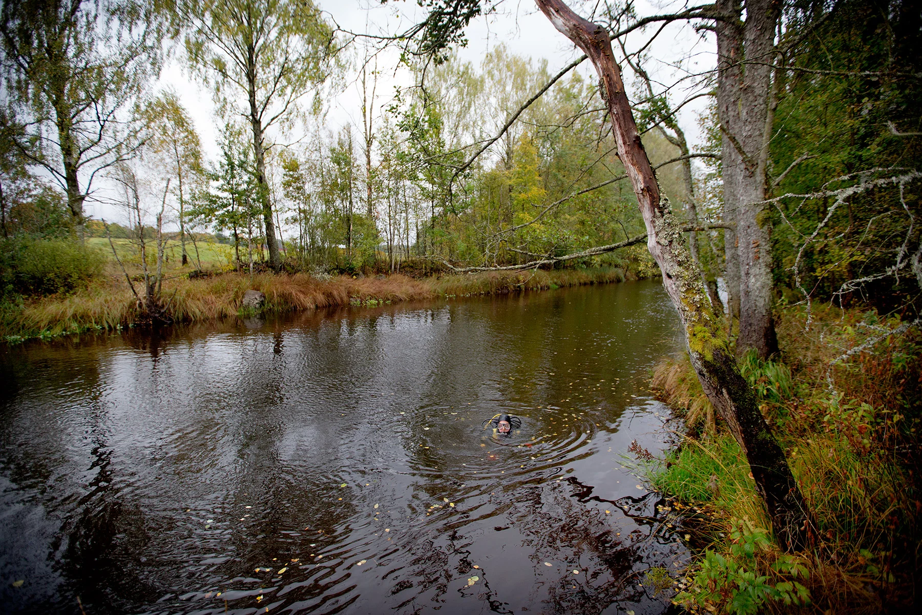 blogg-160929martindykerikalv4.jpg