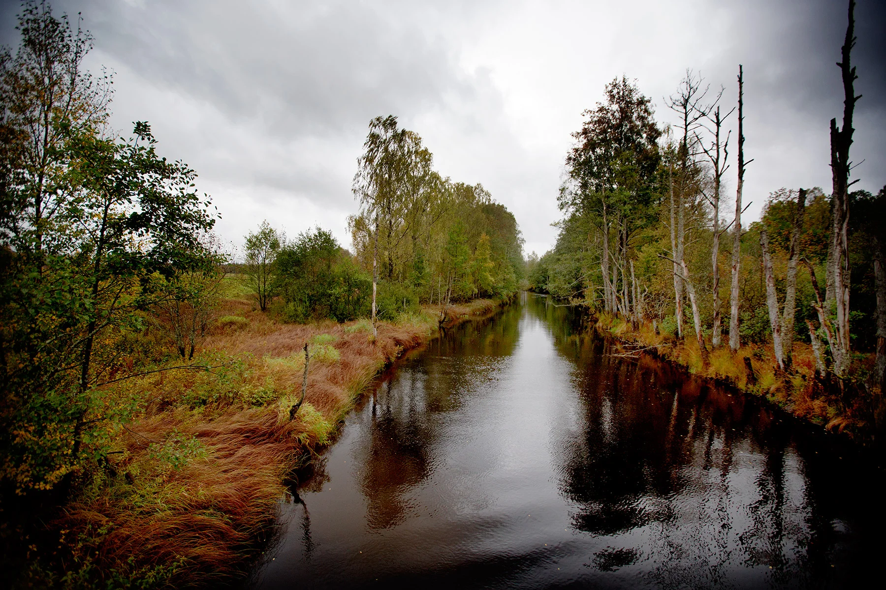 blogg-160929martindykerikalv10.jpg
