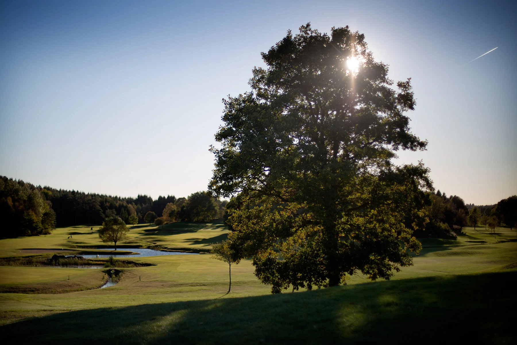blogg-161005sjogardegolf8.jpg
