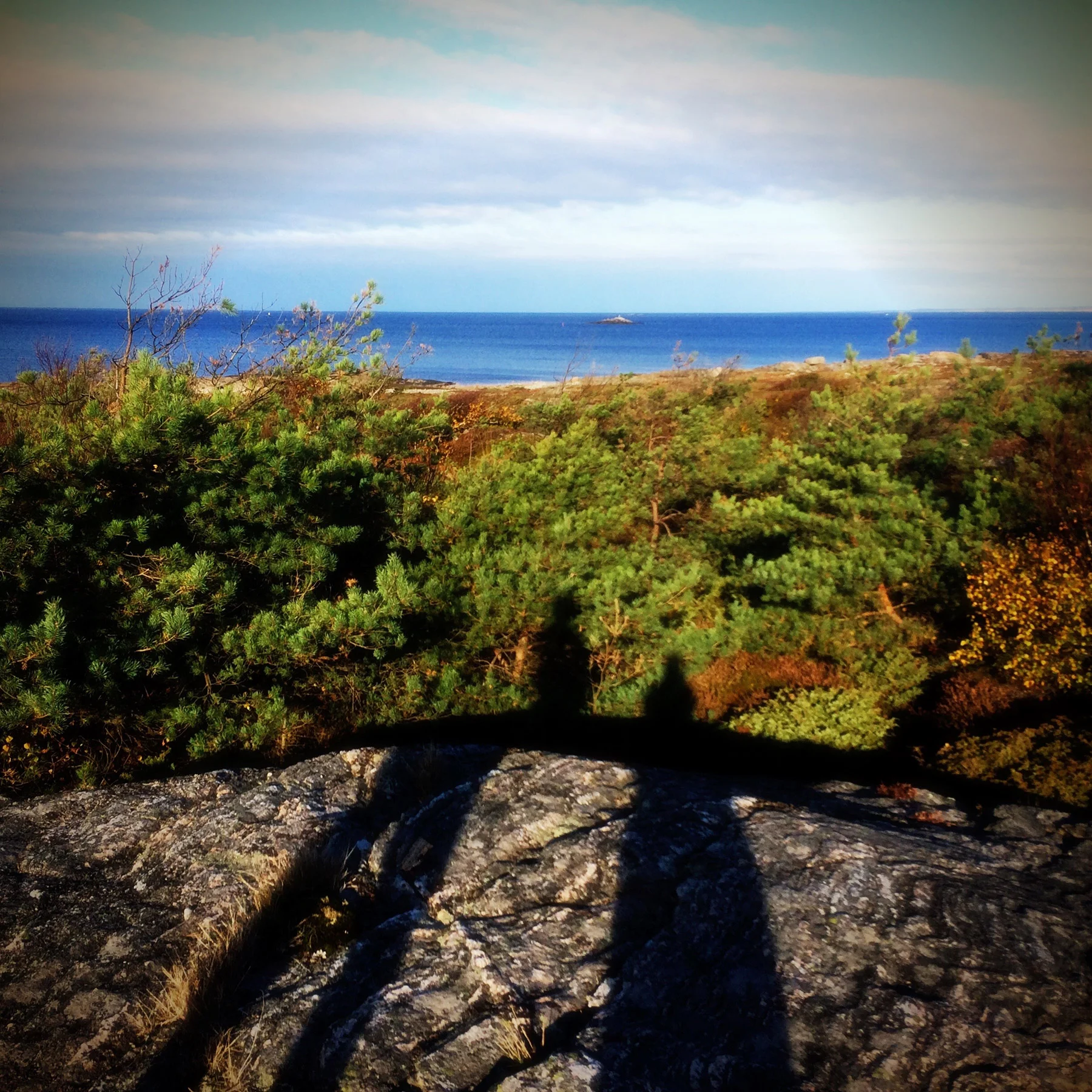 blogg-161013tobbewalk1.jpg