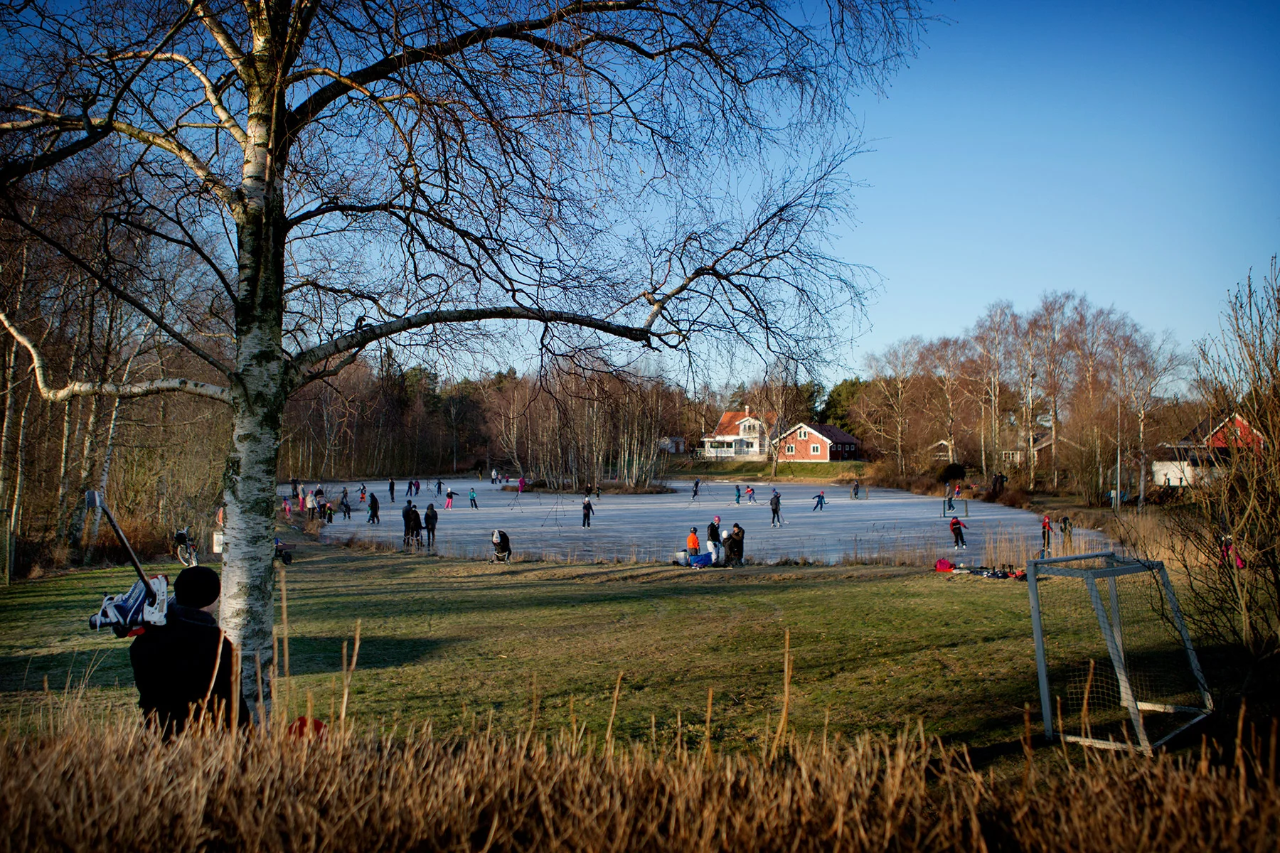blogg-160106guttaredsmosse1.jpg