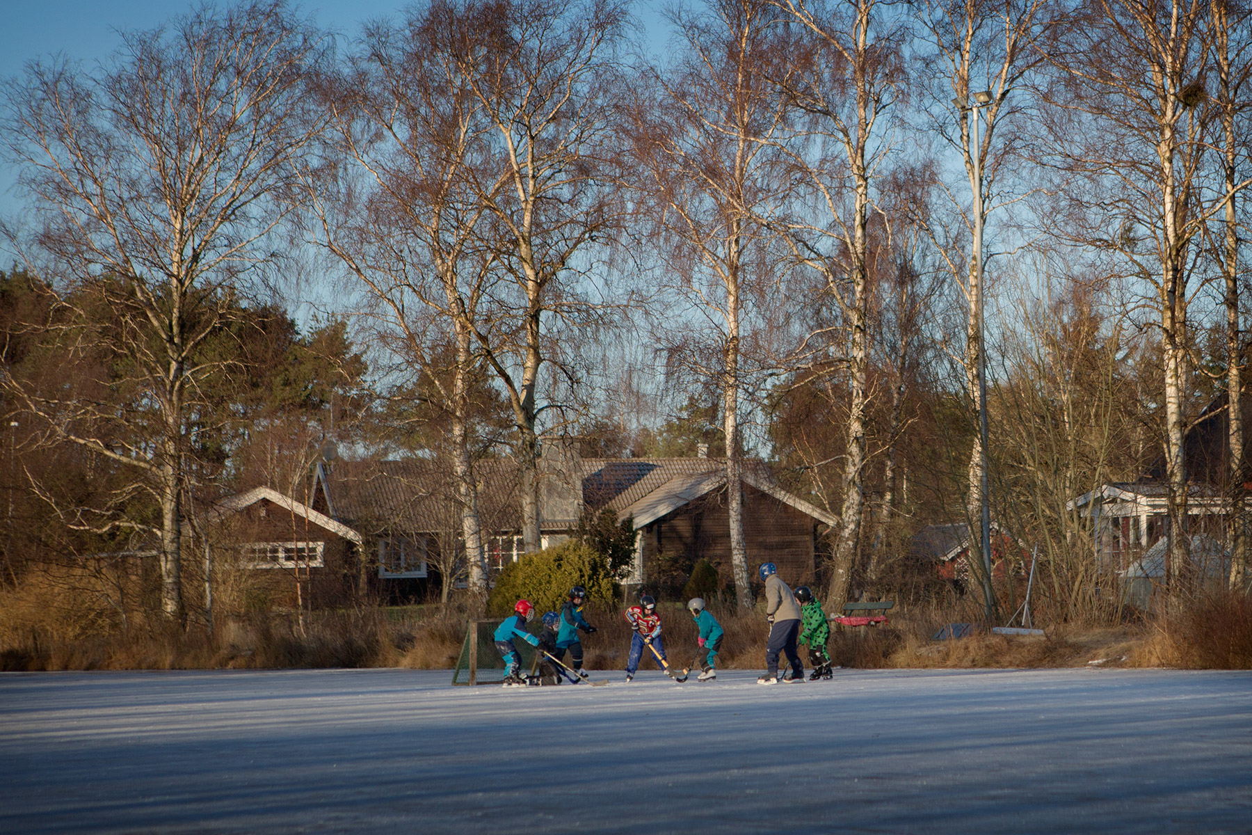 blogg-160106guttaredsmosse10.jpg