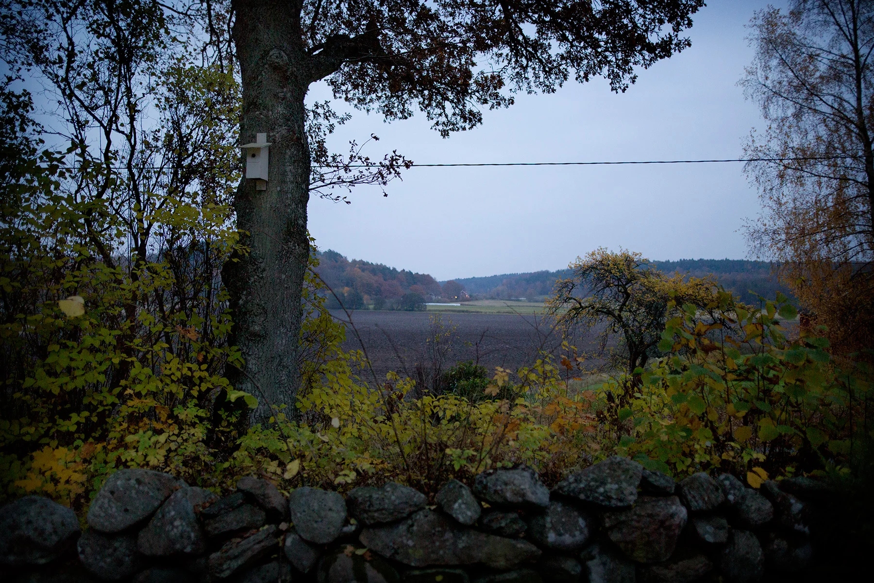blogg-151030biogoteborg4.jpg