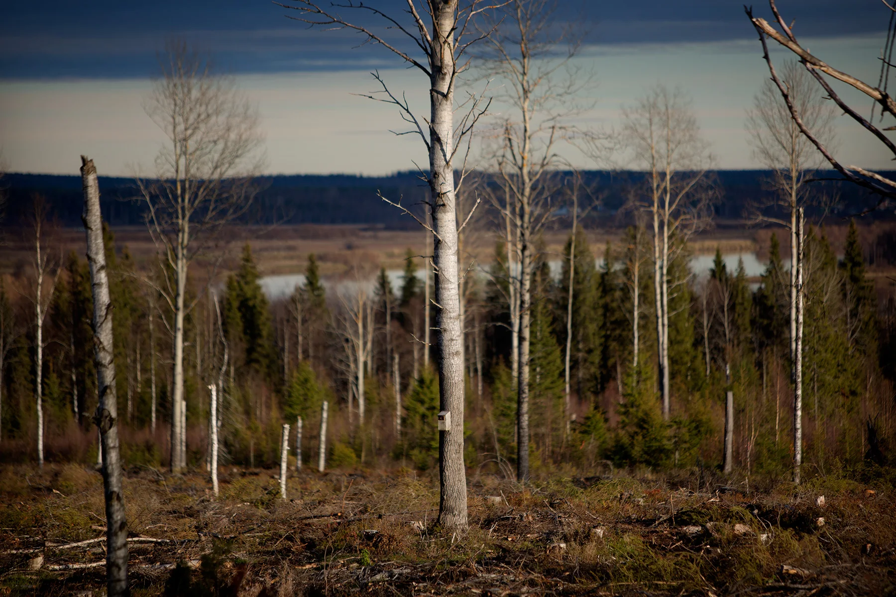 blogg-151014tornedalenupp10.jpg
