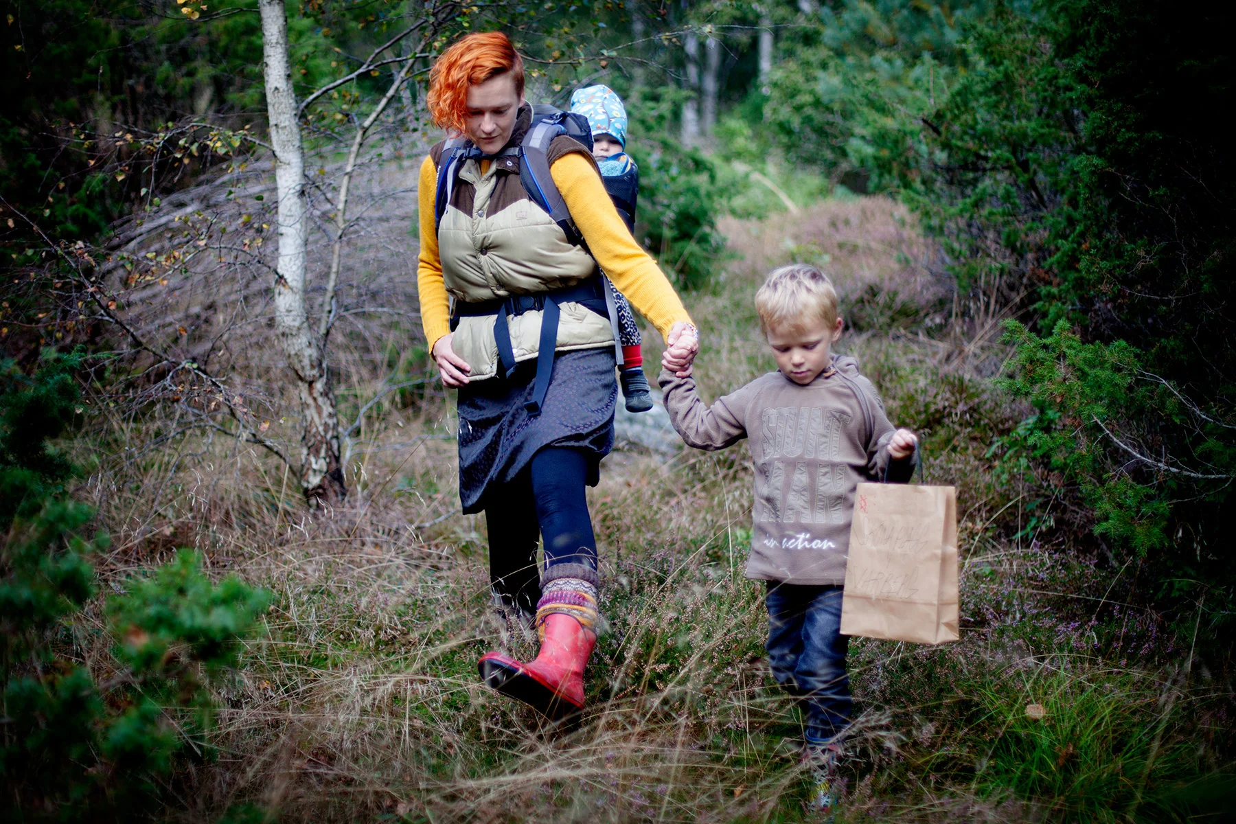 blogg-150920skogen7.jpg