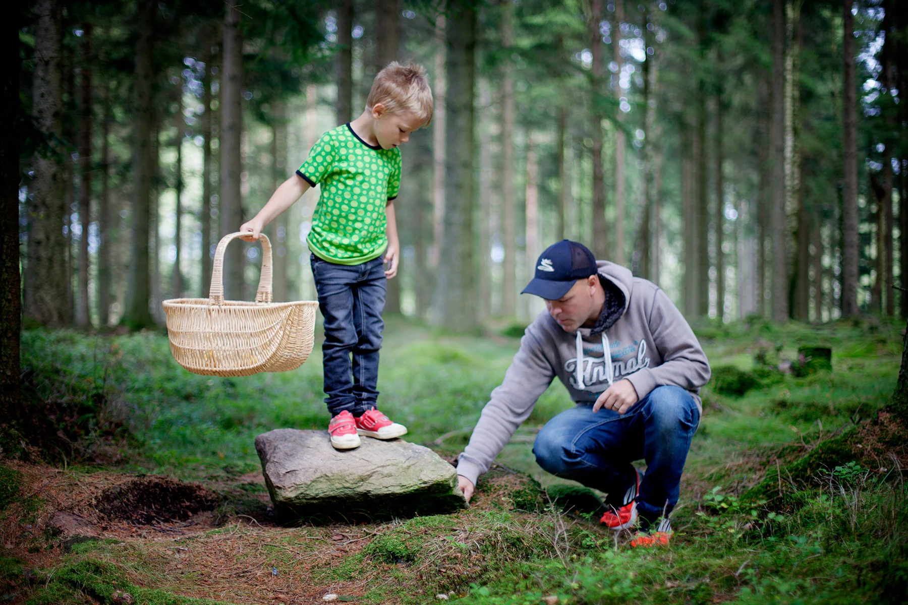blogg-150906svampskogen1.jpg