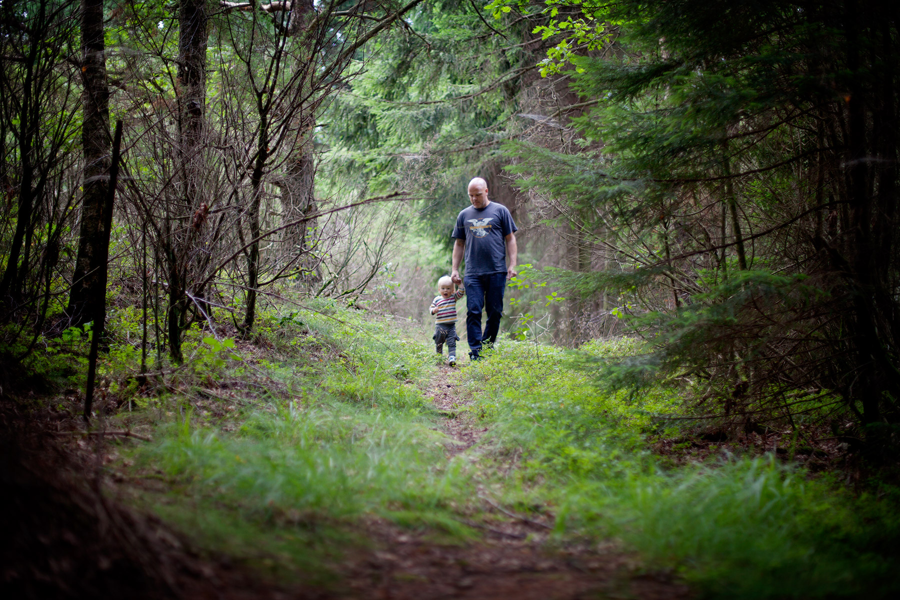 blogg-150816skogen8.jpg