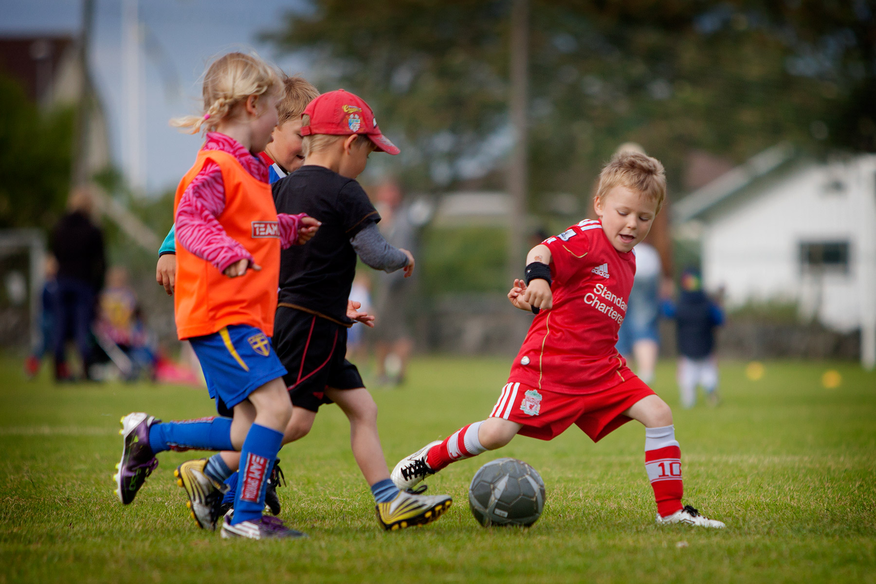 blogg-150623knattefotboll8.jpg