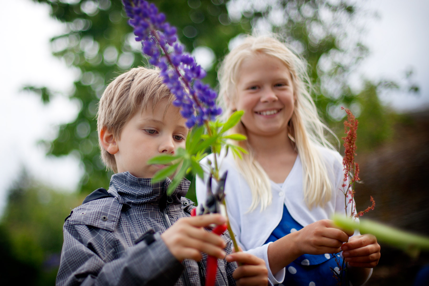 blogg-150619midsommar4.jpg