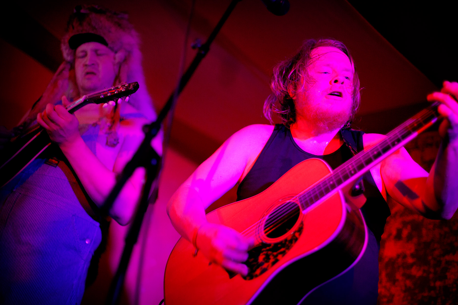 blogg-150602stevenseagulls9.jpg