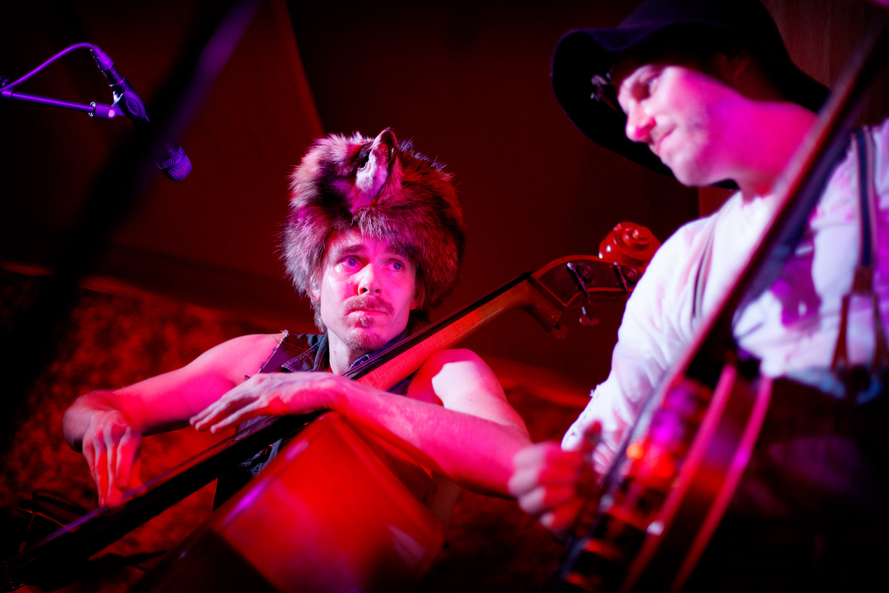 blogg-150602stevenseagulls11.jpg