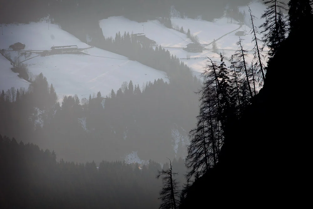 blogg-150319alpbach10.jpg