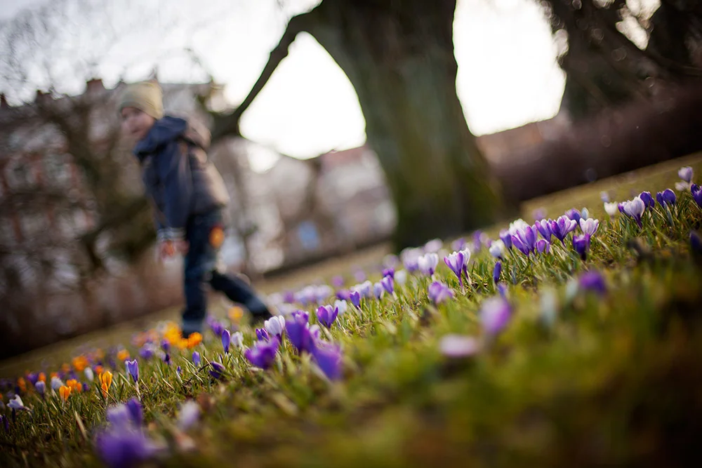 blogg-150310malmo5.jpg