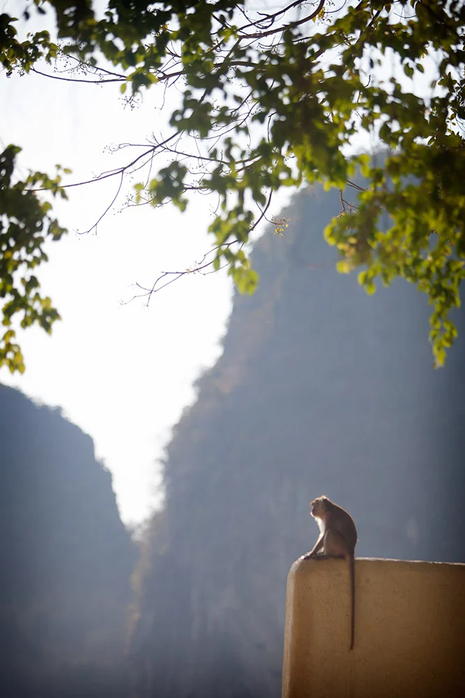 blogg-150304prahnang5.jpg