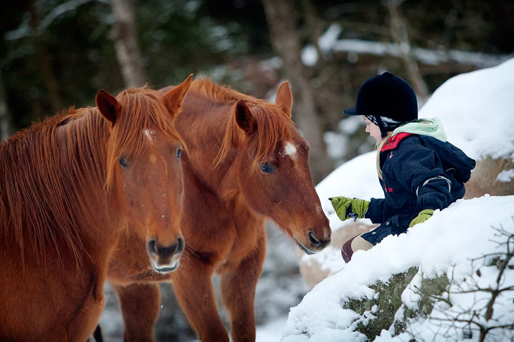 blogg-150204snohastar.jpg