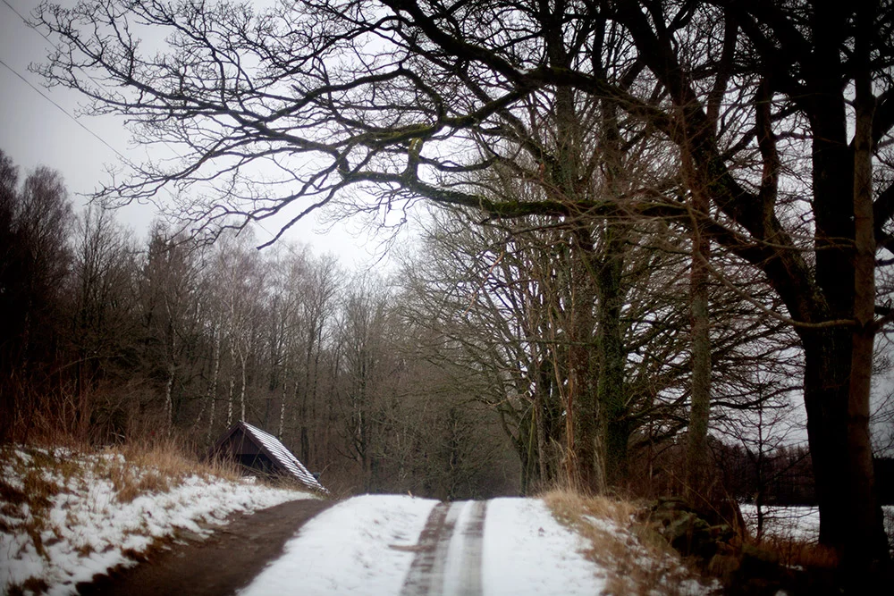 blogg-150131lordag3.jpg