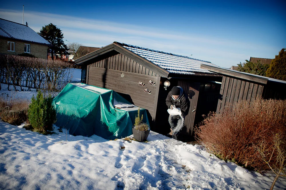 blogg-150125solsno02.jpg