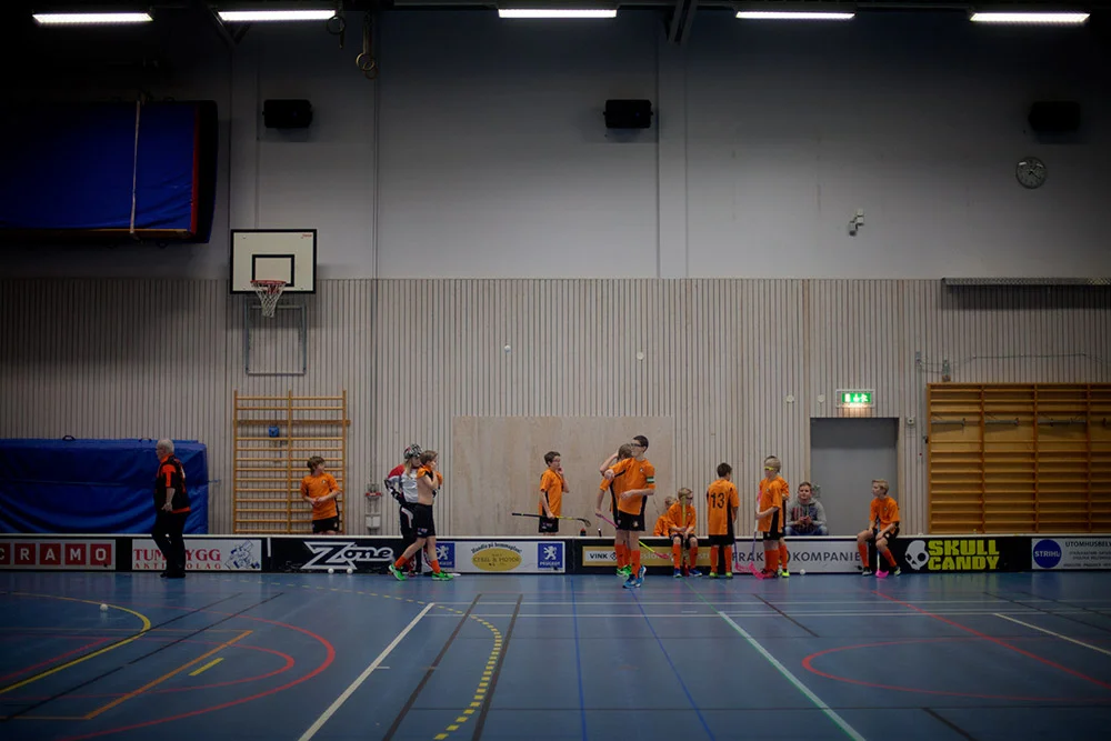 blogg-150124onsala3.jpg