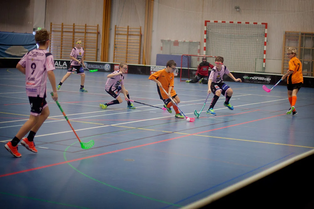 blogg-150124onsala7.jpg