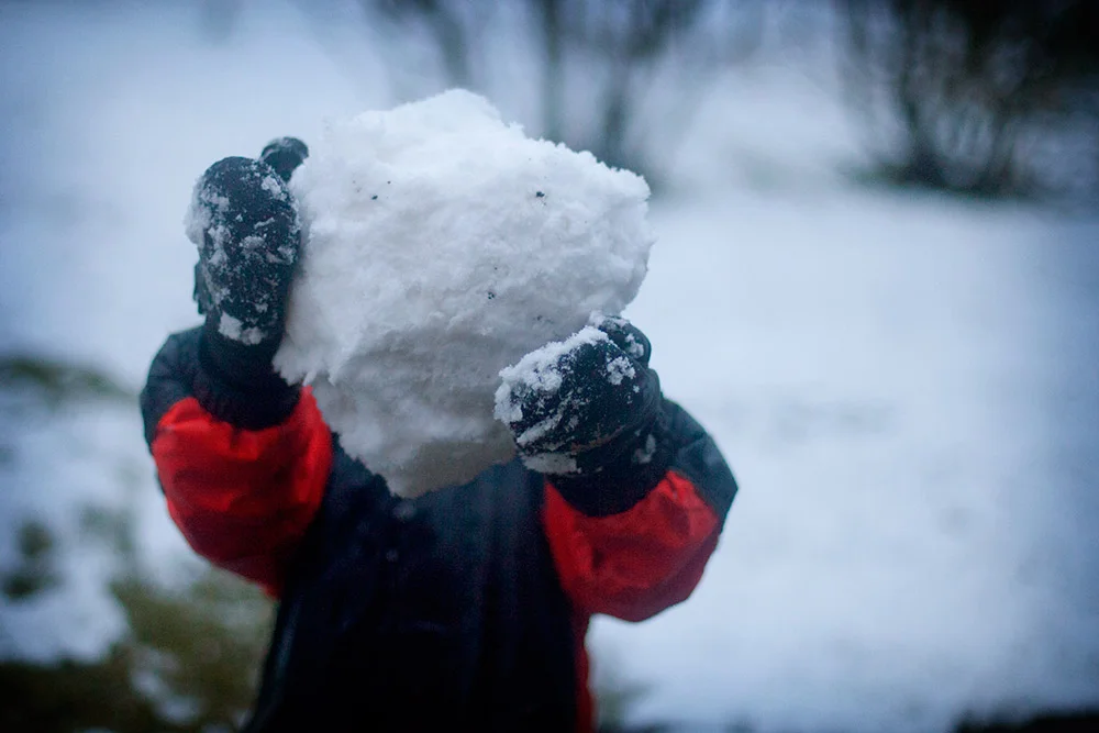 blogg-150121sno2.jpg