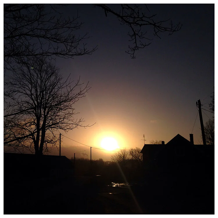 blogg-150116ambjornhem.jpg