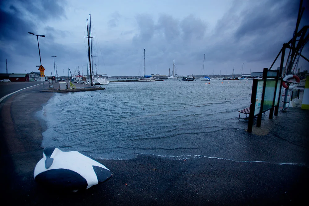 blogg-150111efterstormenegon2.jpg