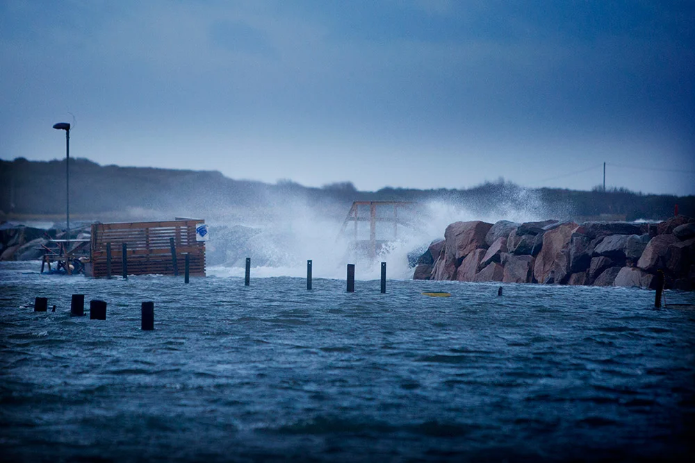 blogg-150111efterstormenegon5.jpg