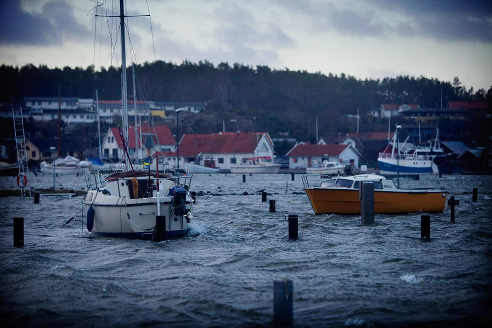 blogg-150111efterstormenegon7.jpg