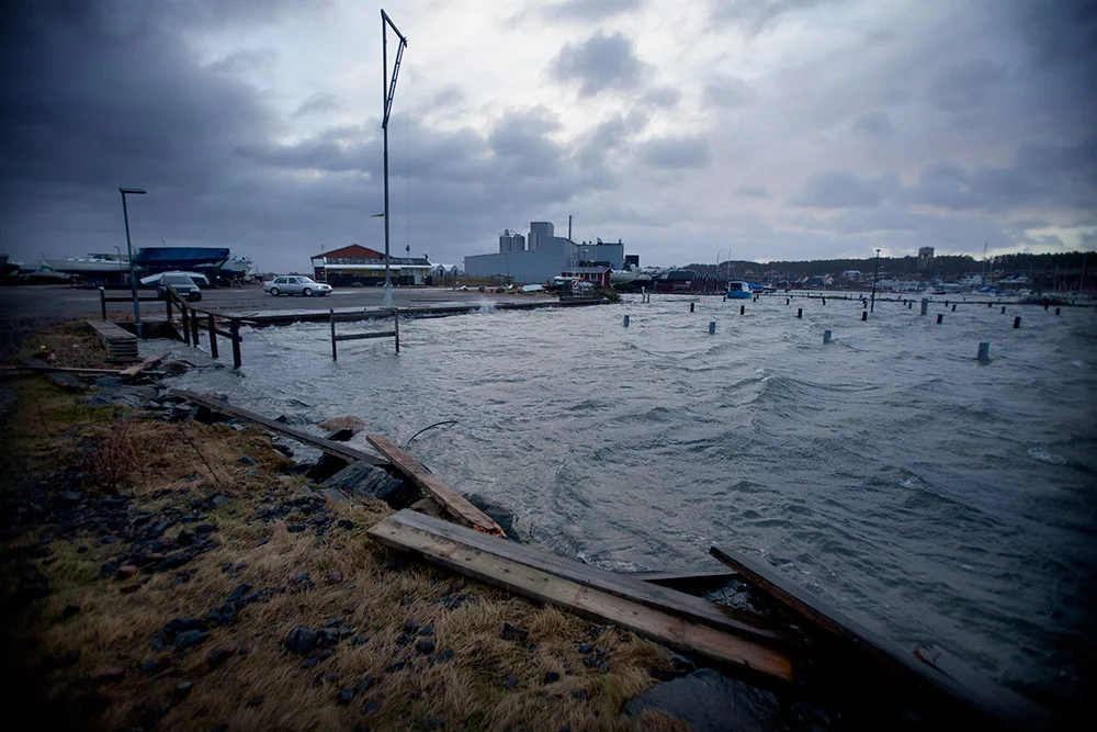 blogg-150111efterstormenegon11.jpg